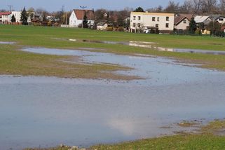Stát podle ochránců přírody rozhodl nešťastně. Gigafactory na orné půdě je nesmysl - Novinky